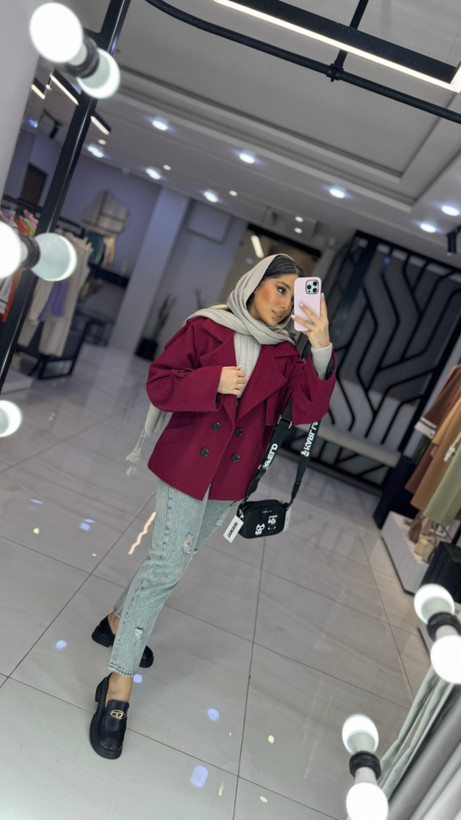 پالتو alvina